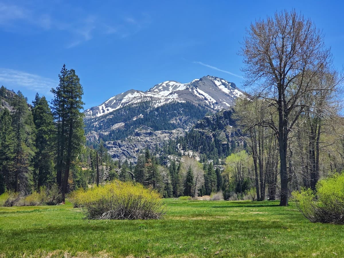 Kennedy Meadow