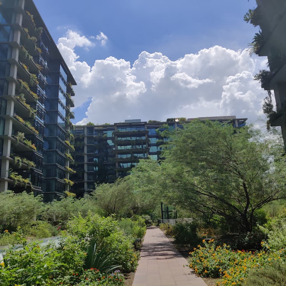 7120 Optima Kierland Condominiums