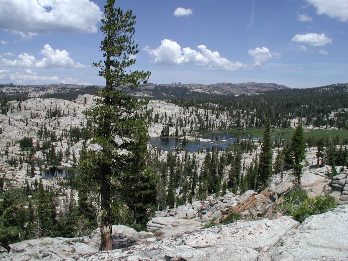 Coyote Meadows
