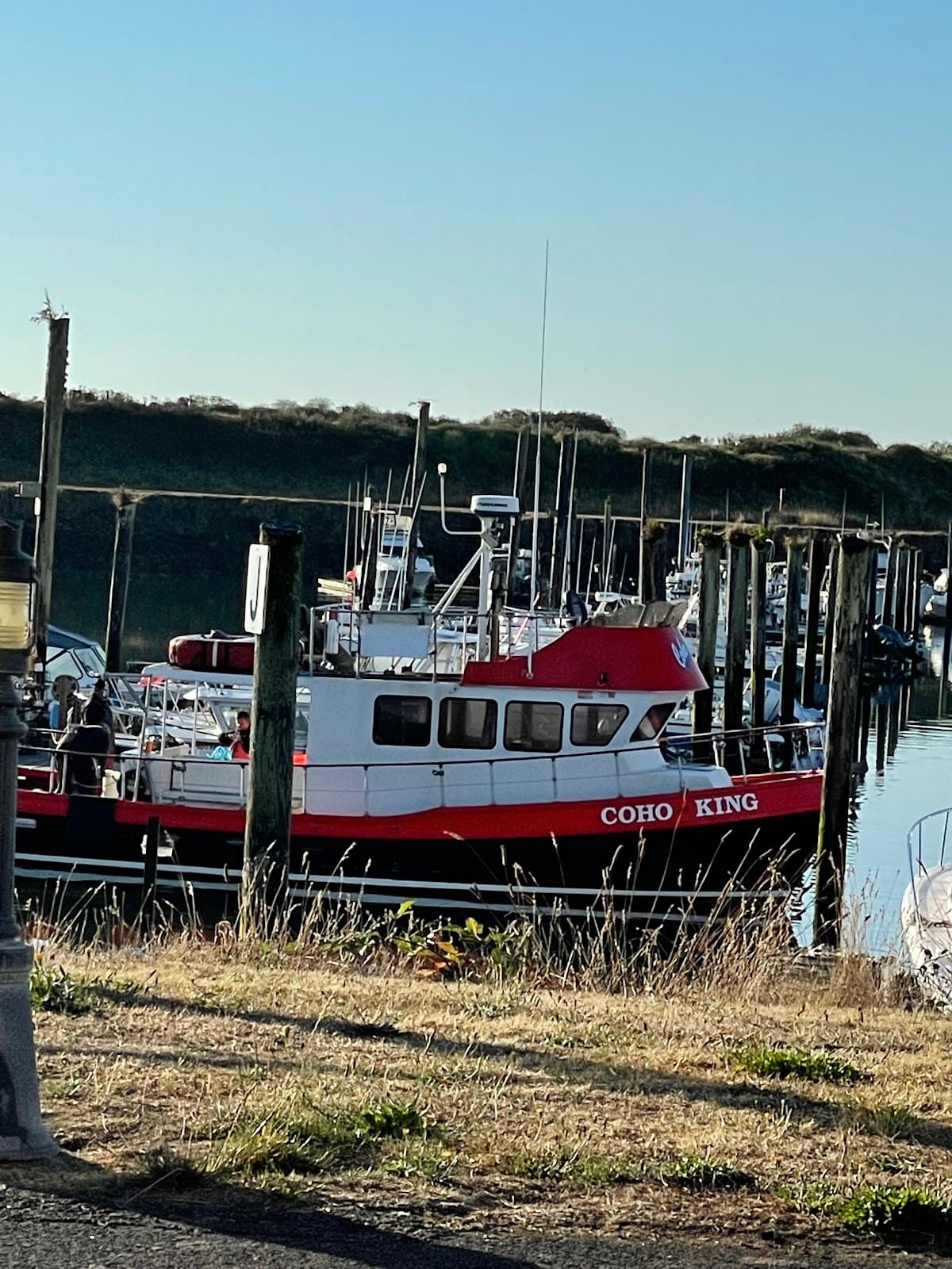 Coho Charters & Motel