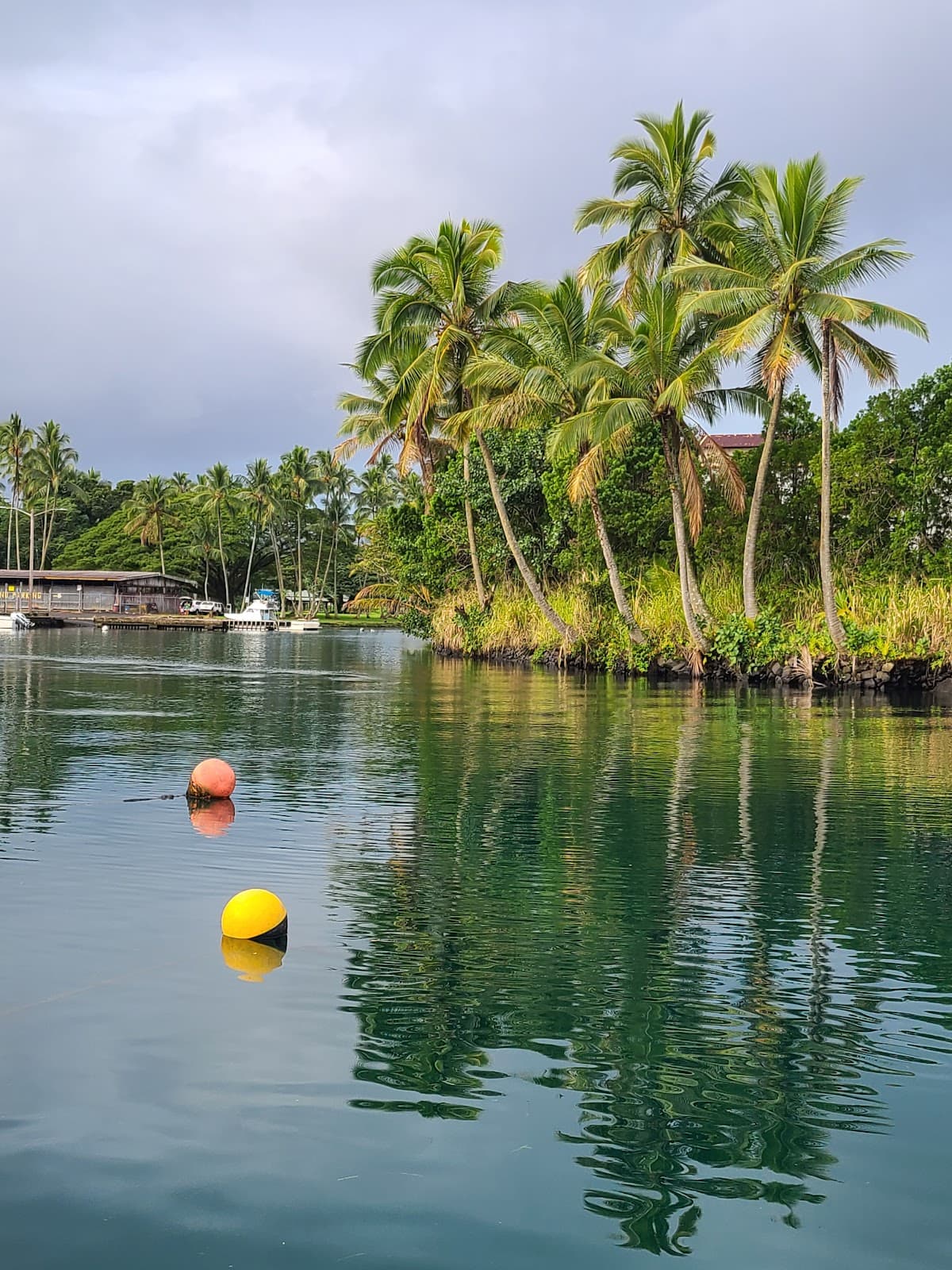 Wailoa Boat Harbor