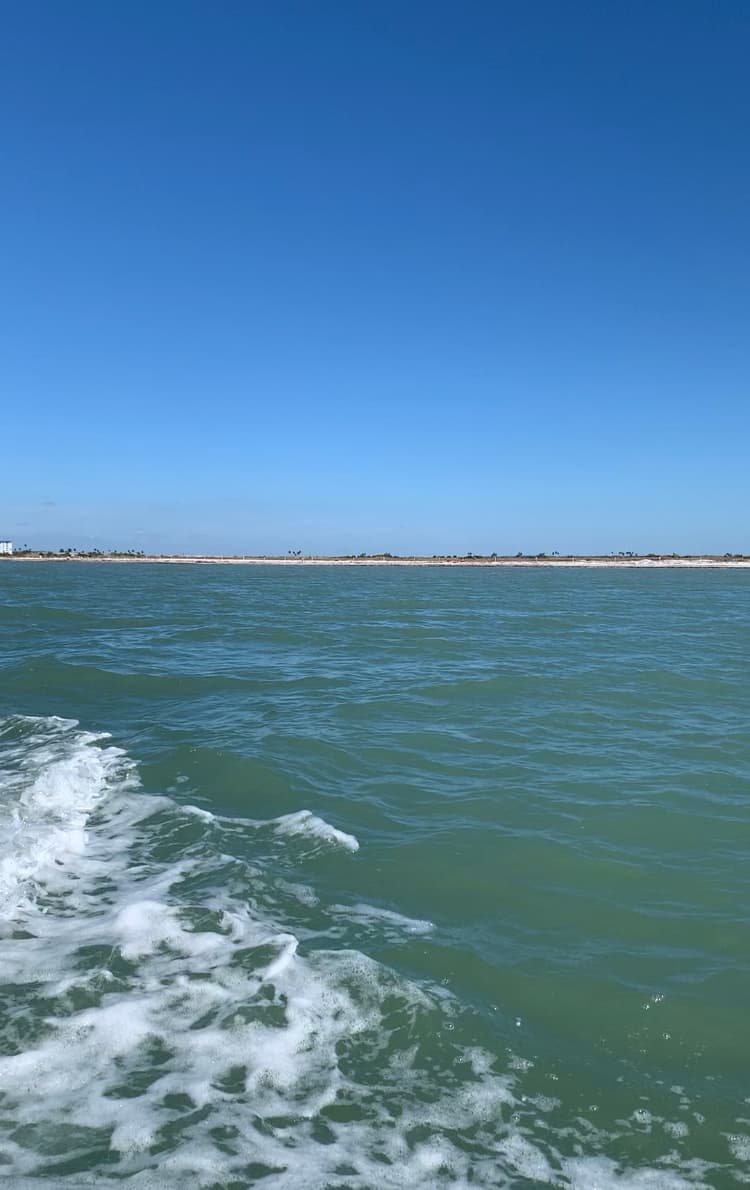 Port Tarpon