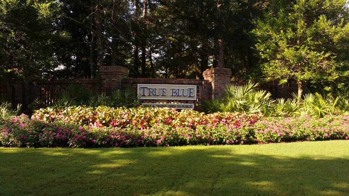 Pawley's True Blue