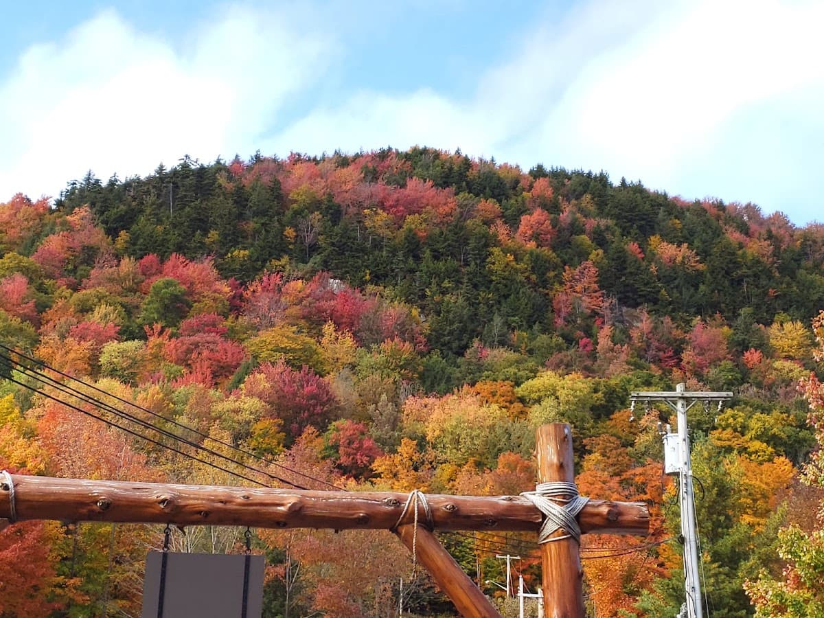 Daikers Brookside Lodging