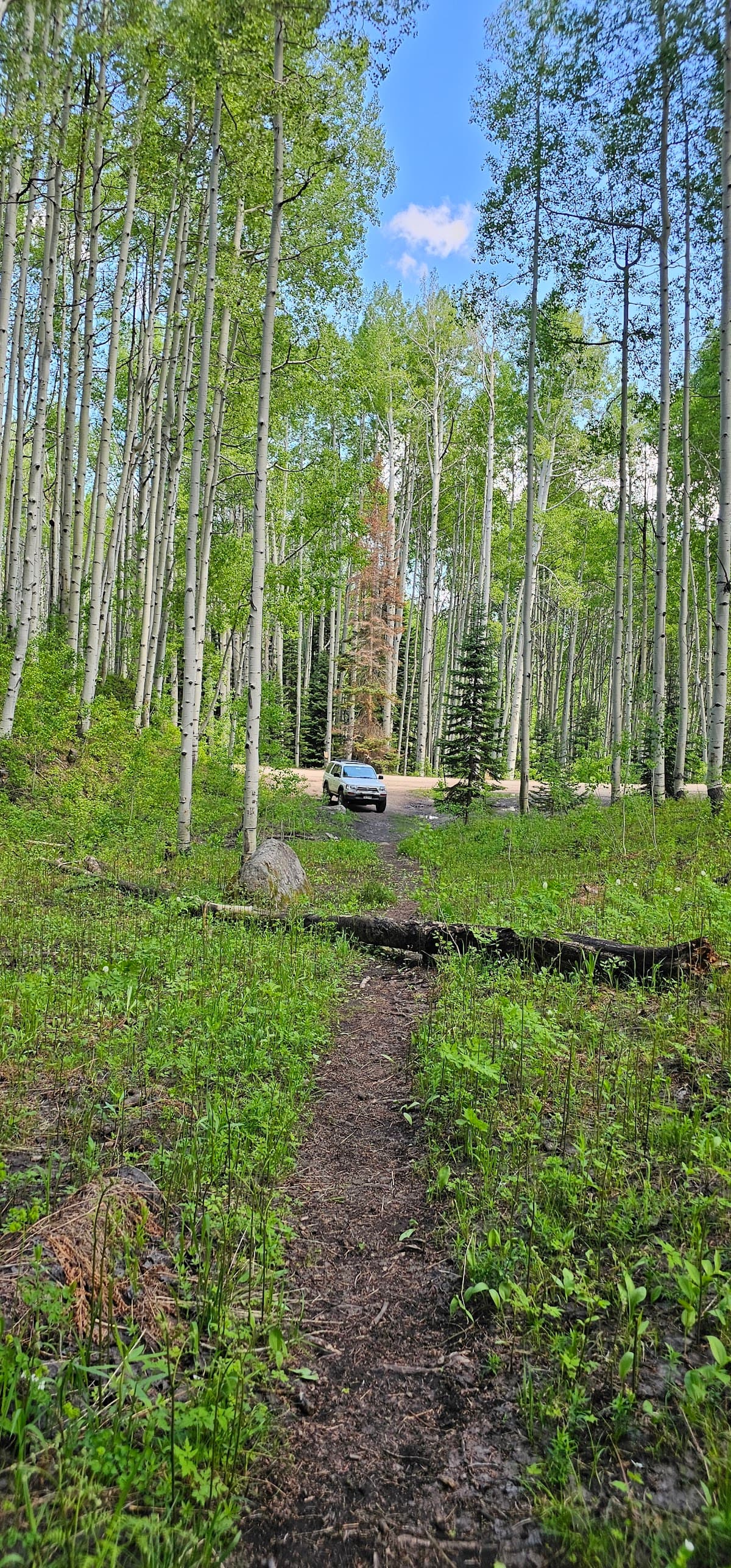 Horse Ranch Park