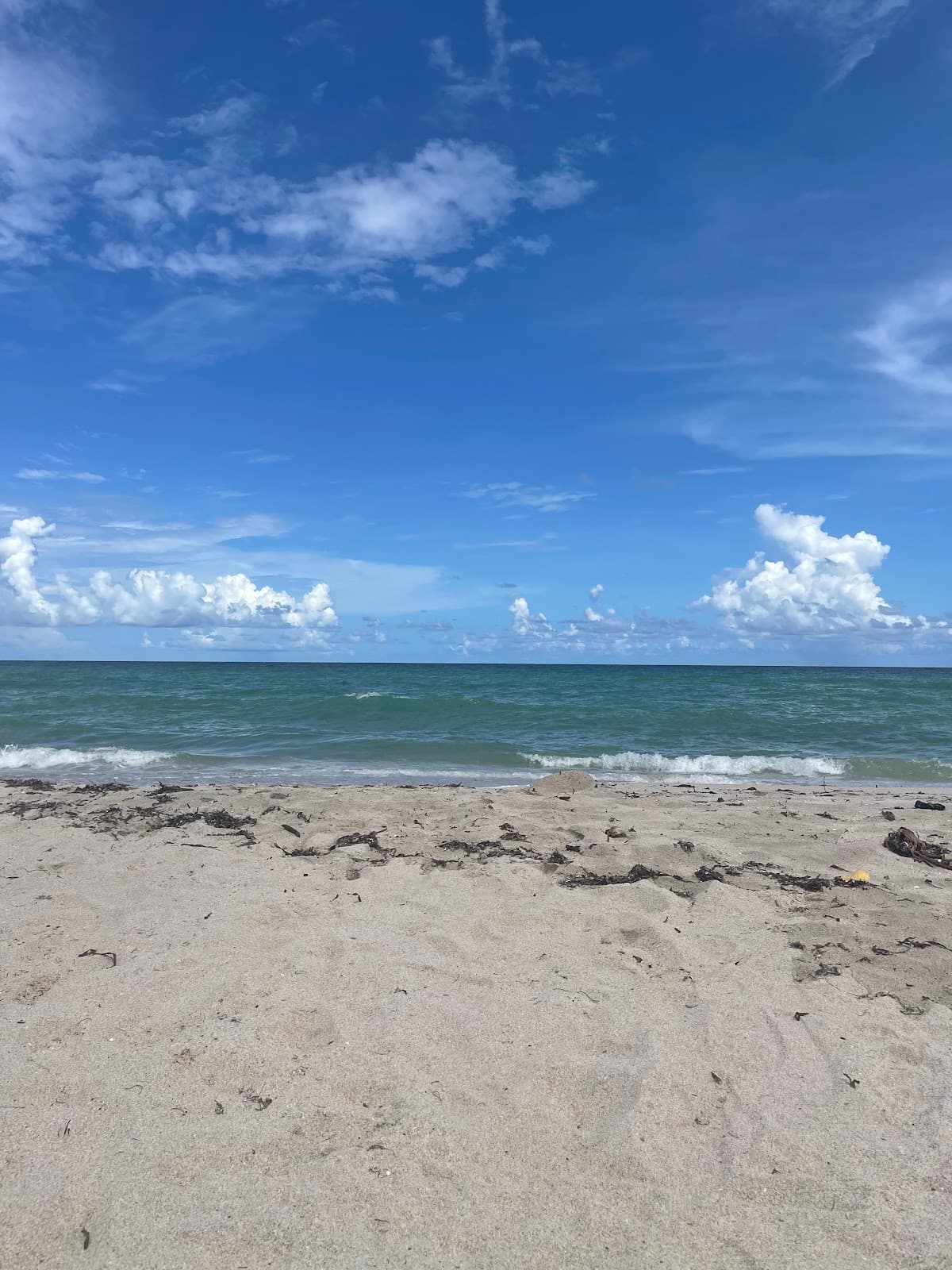Hollywood beach parking