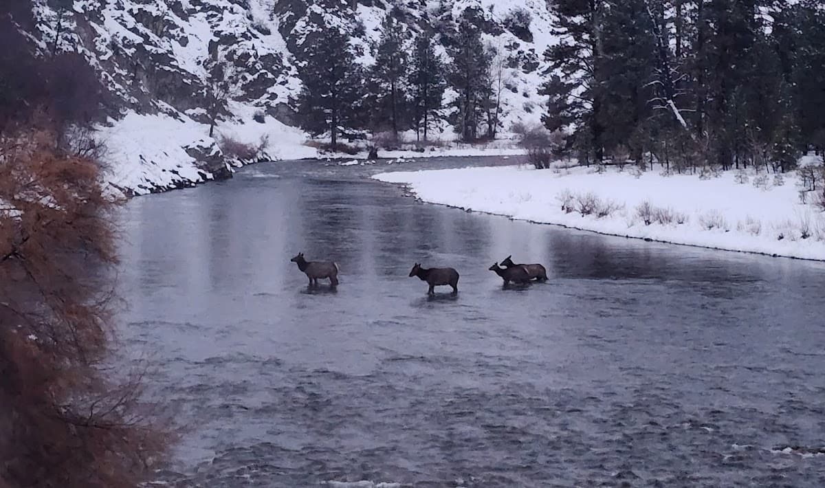 Twin Springs Resort