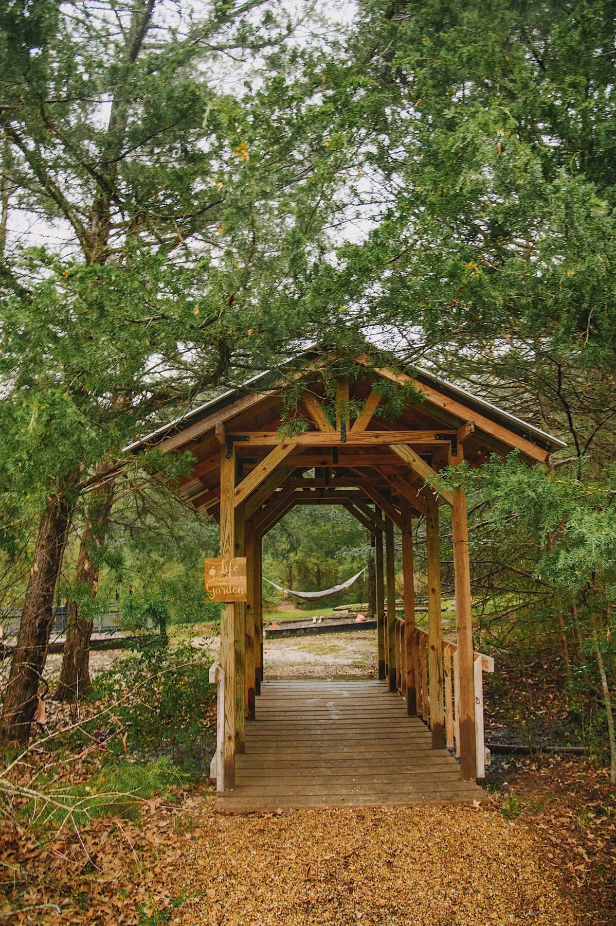 Savannah's Meadow