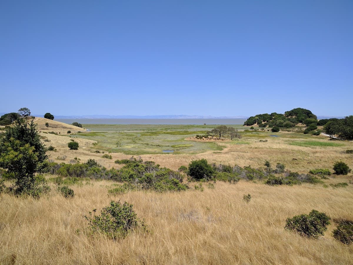 Miwok Meadows