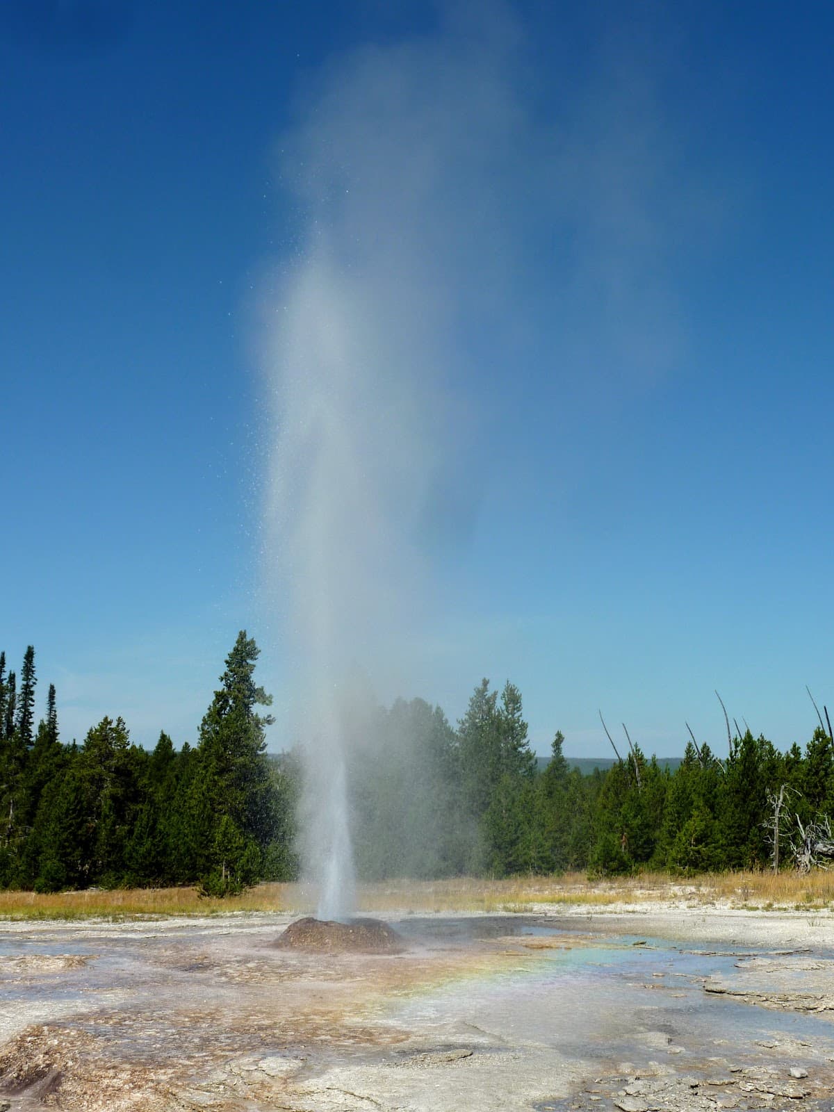 Pink Cone Geyser