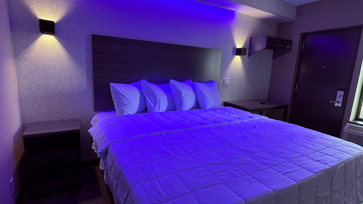 THE VINE HOTEL BRONX