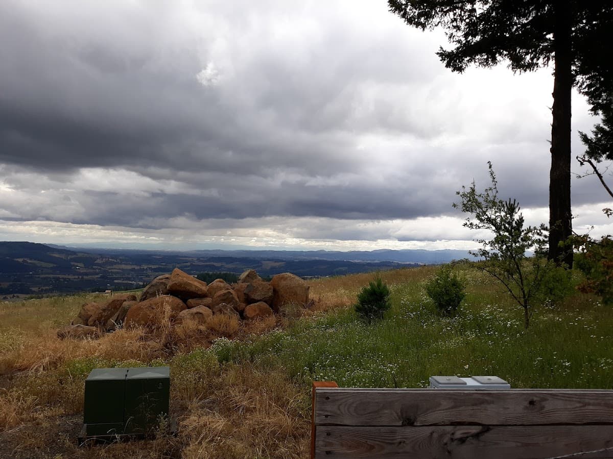Hollis Vinyards