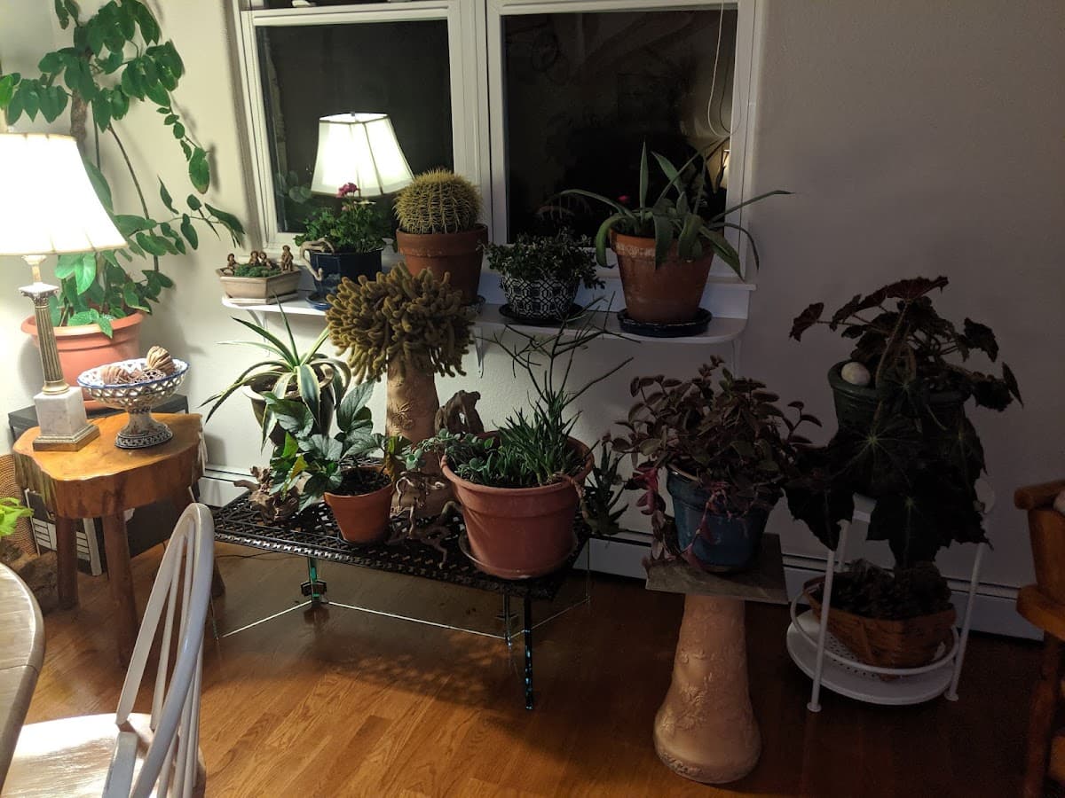 Silver Sage Village Senior Cohousing
