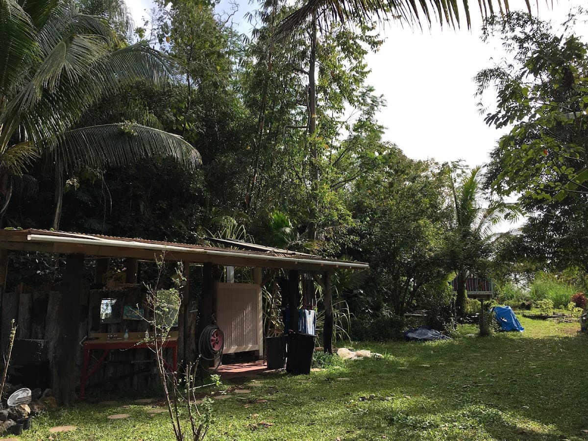 Hedonisia Hawaii Creative Community