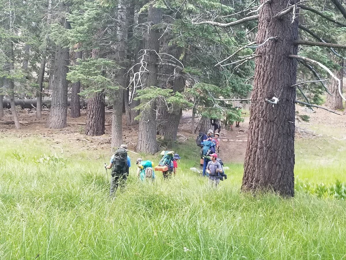 Tahquitz Meadow