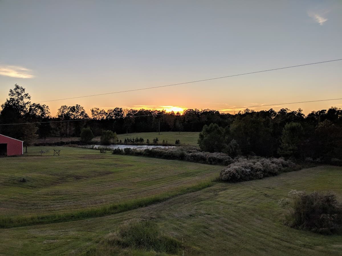 Pineview Recovery
