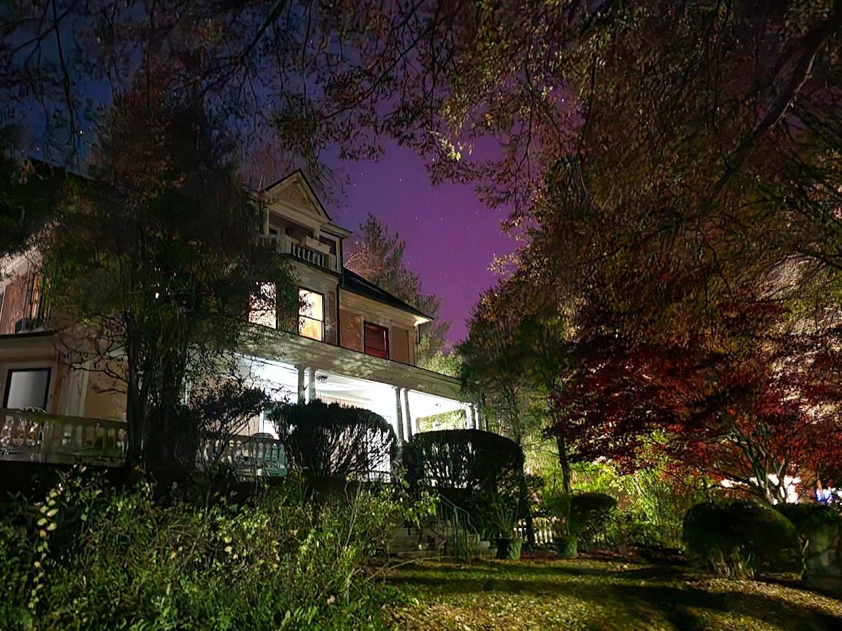 The Lion and the Rose Bed and Breakfast
