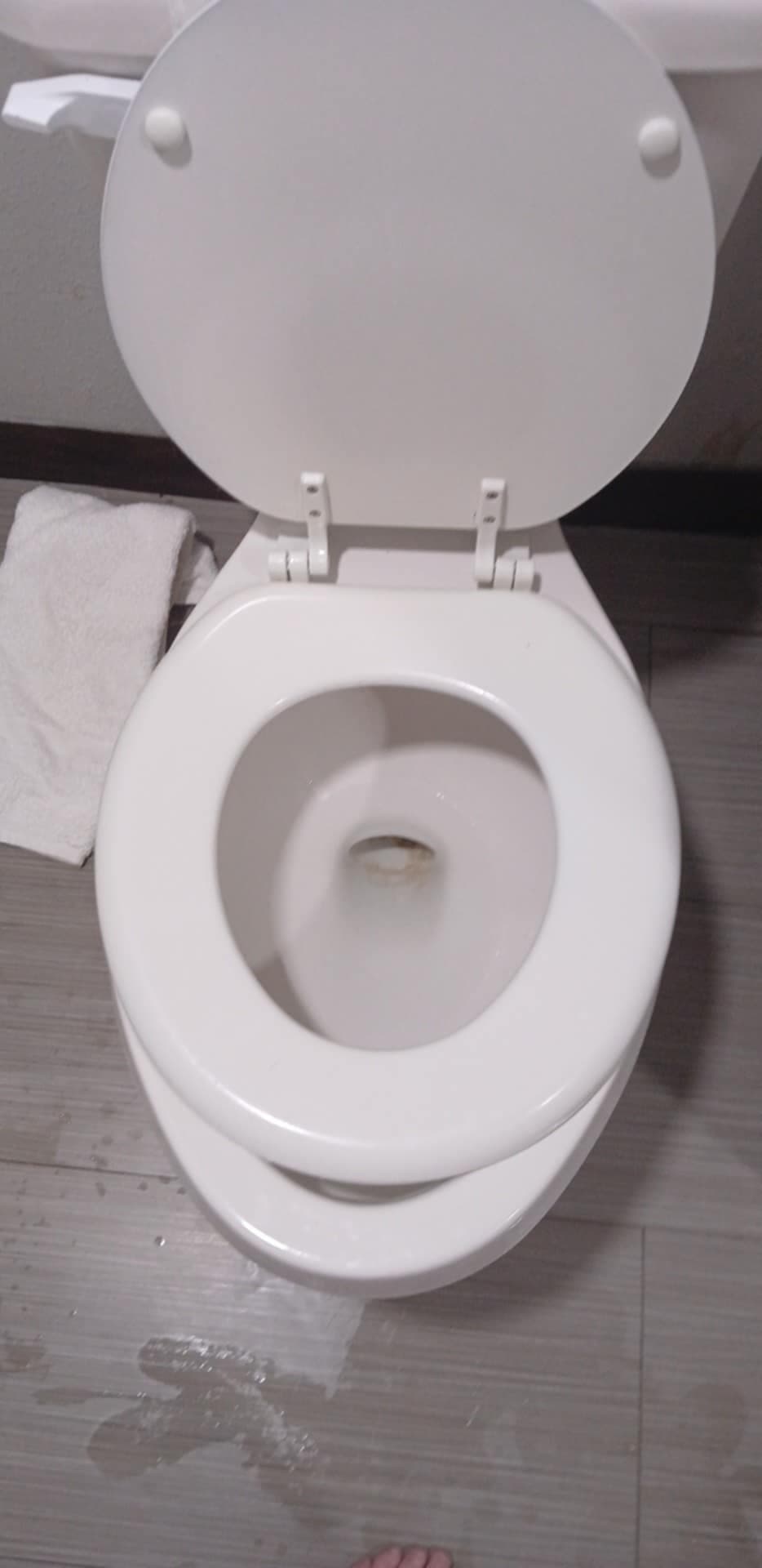 Hotel Trap
