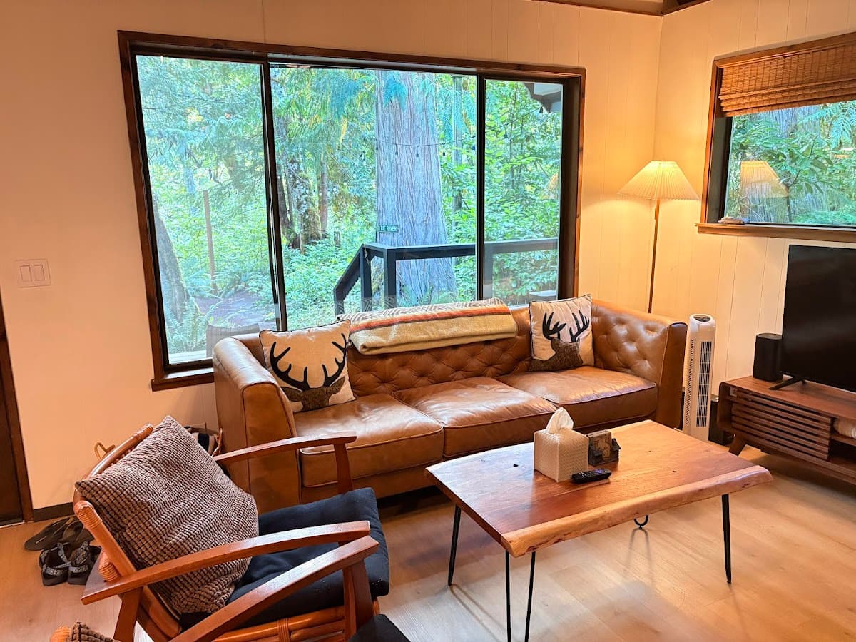 Fern Grove Cabin