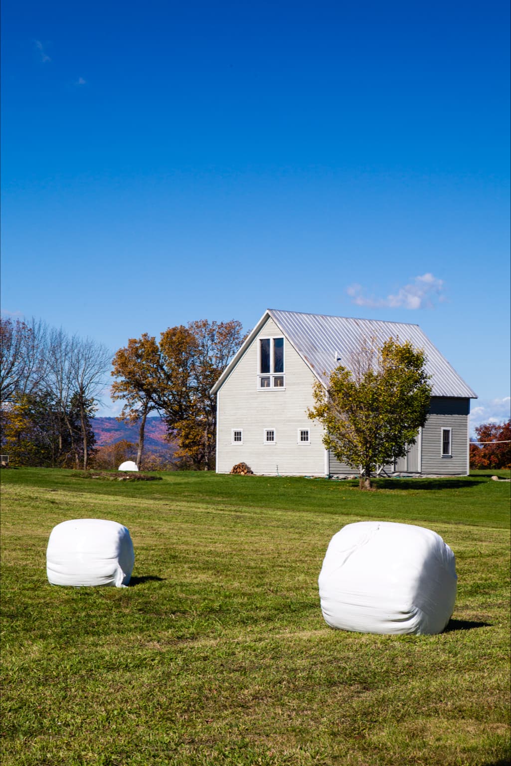 Twin View Barn at Whitford House
