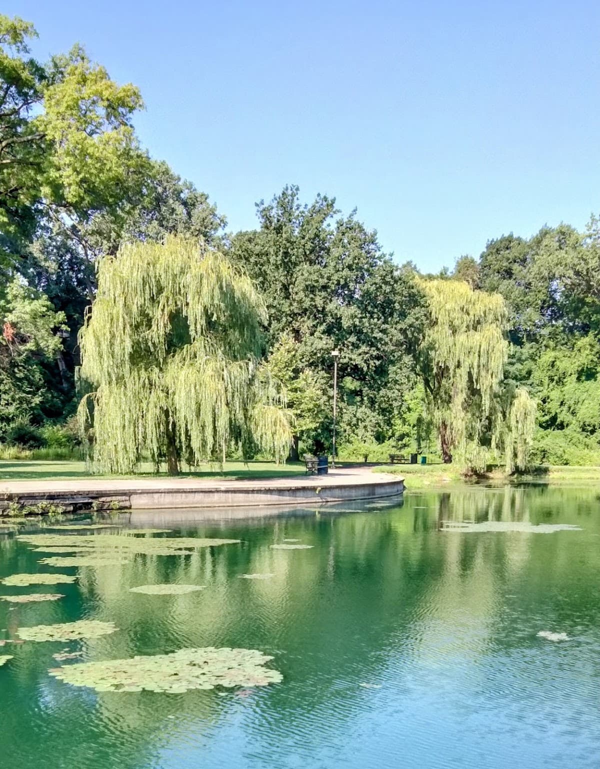 Rockefeller Lagoon