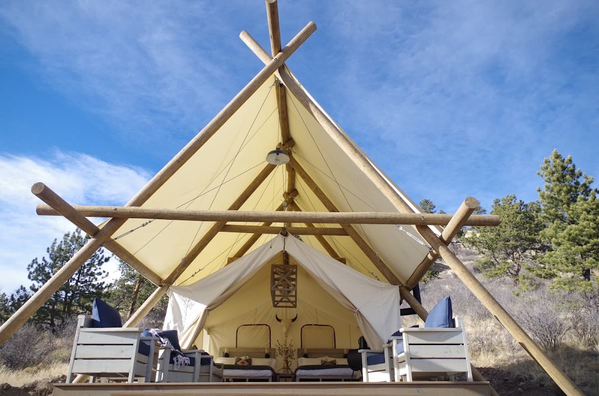 Black Tree Resort