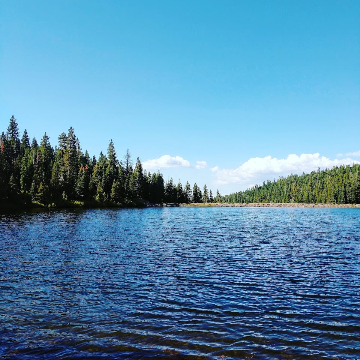 Sawmill Flat