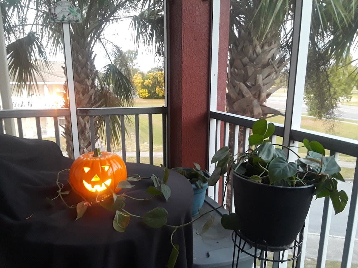 Renaissance At Washington