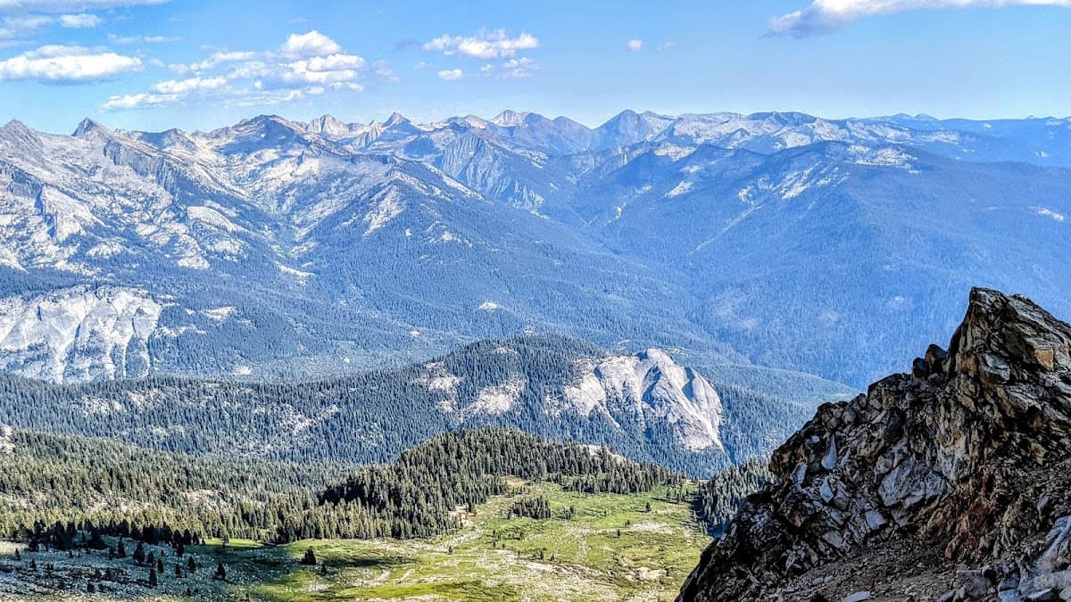 Alta Meadow