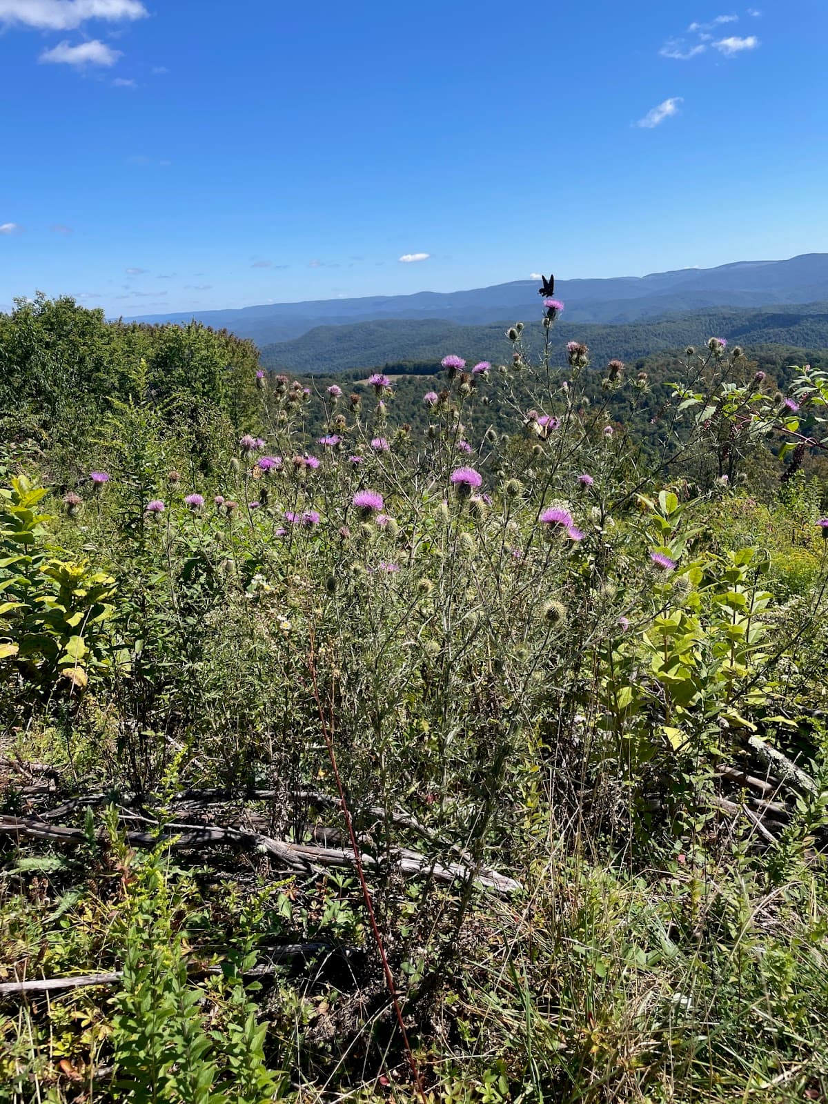 Point Mountain Wilderness Lodge