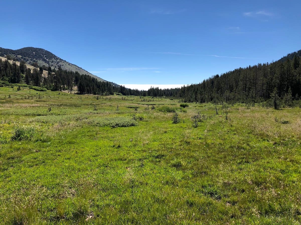 Tahoe Meadows