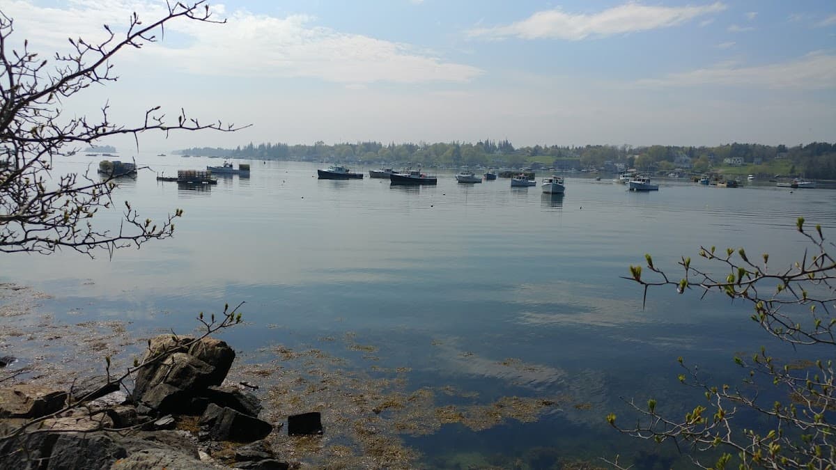 Friendship Harbor