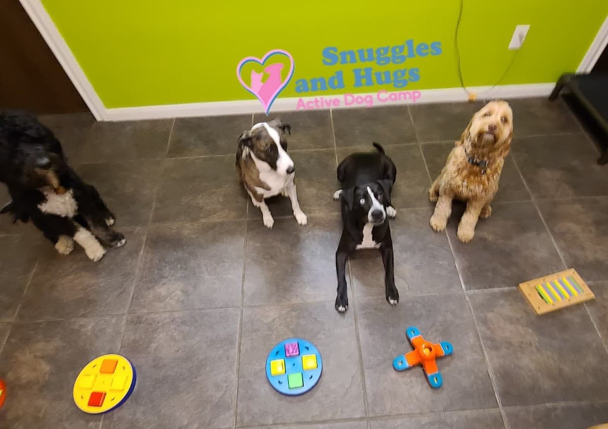 Snuggles and Hugs Active Dog Camp