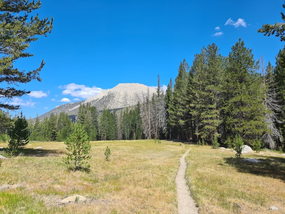 Crabtree Meadow