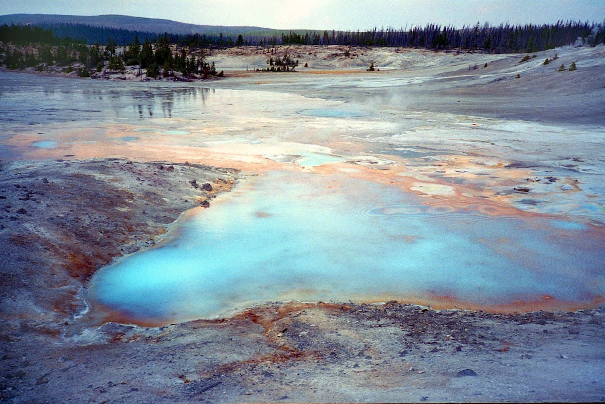 Porcelain Springs