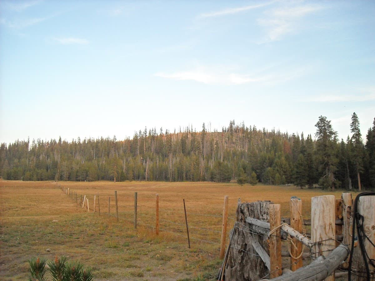 Hockett Meadows