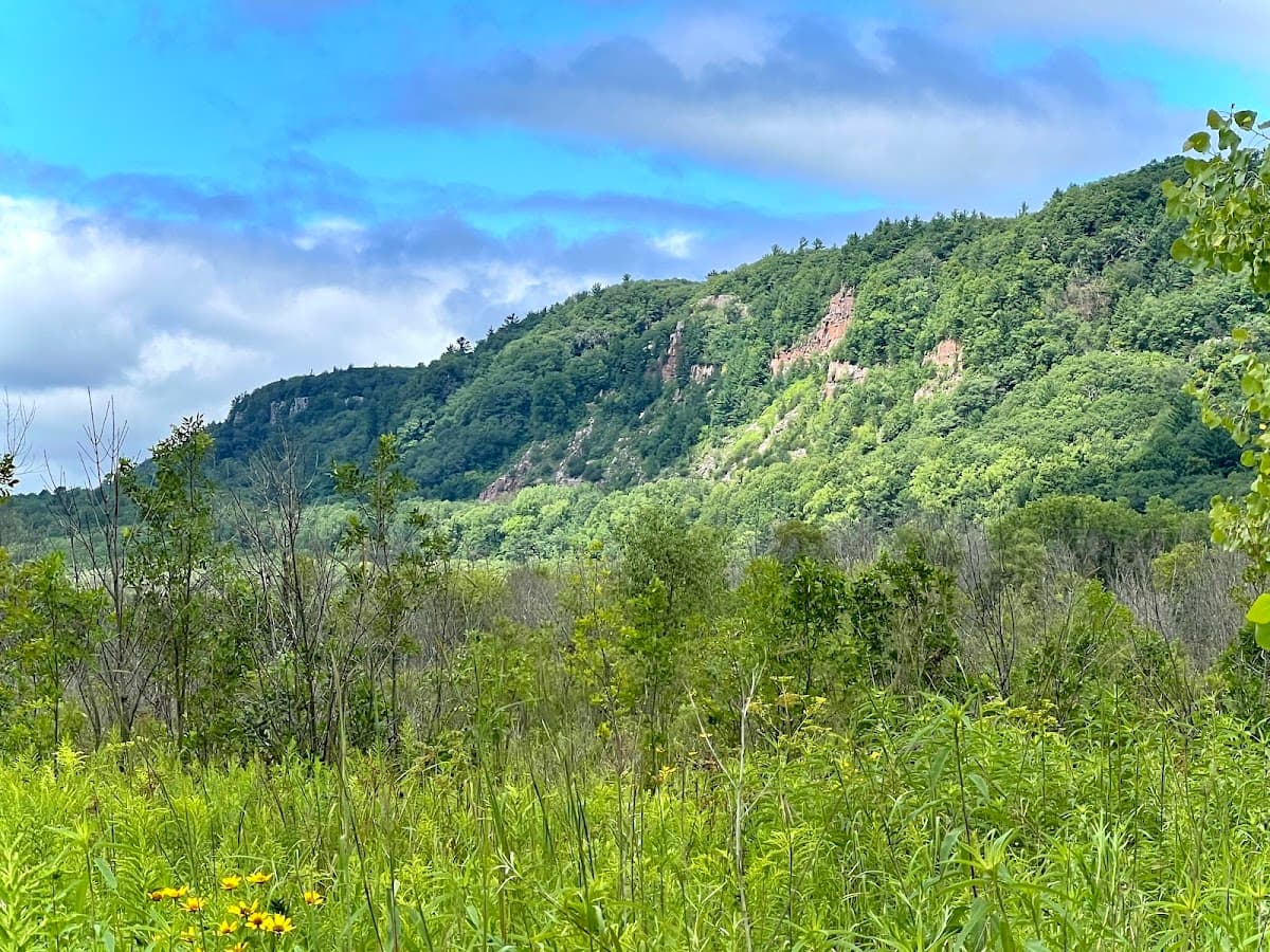 Roznos Meadow