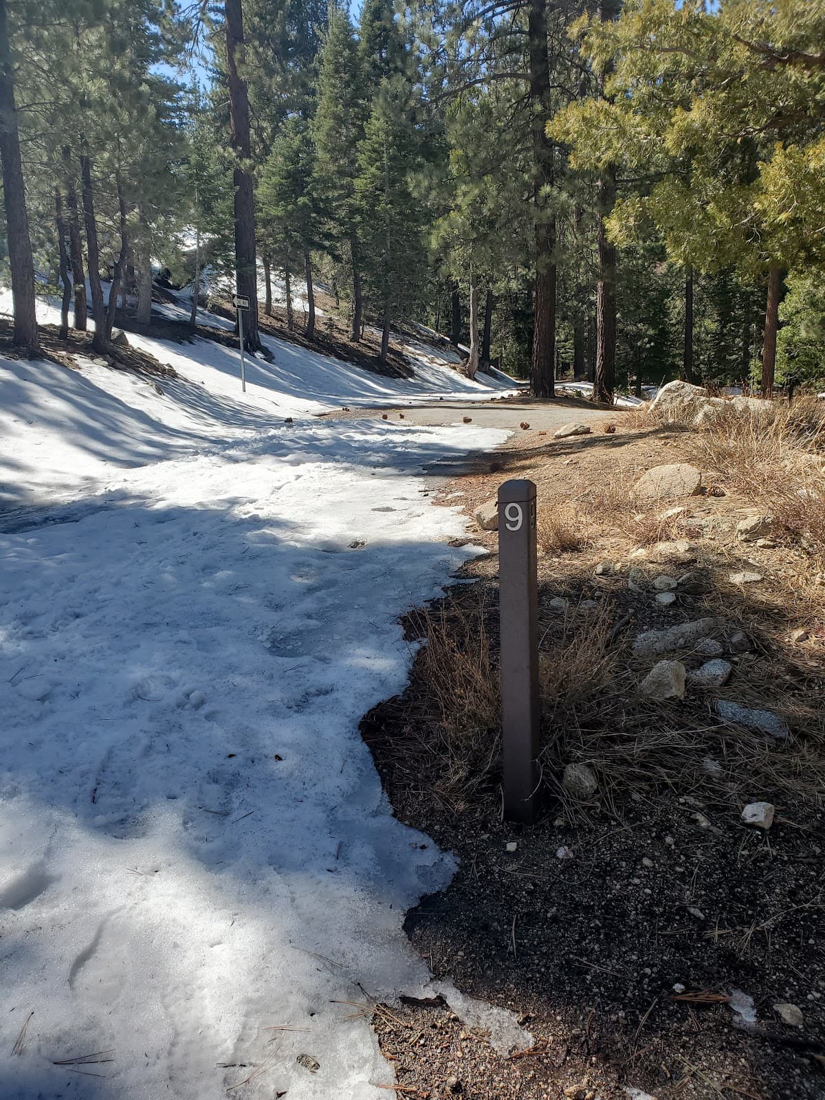 Buckhorn Flat