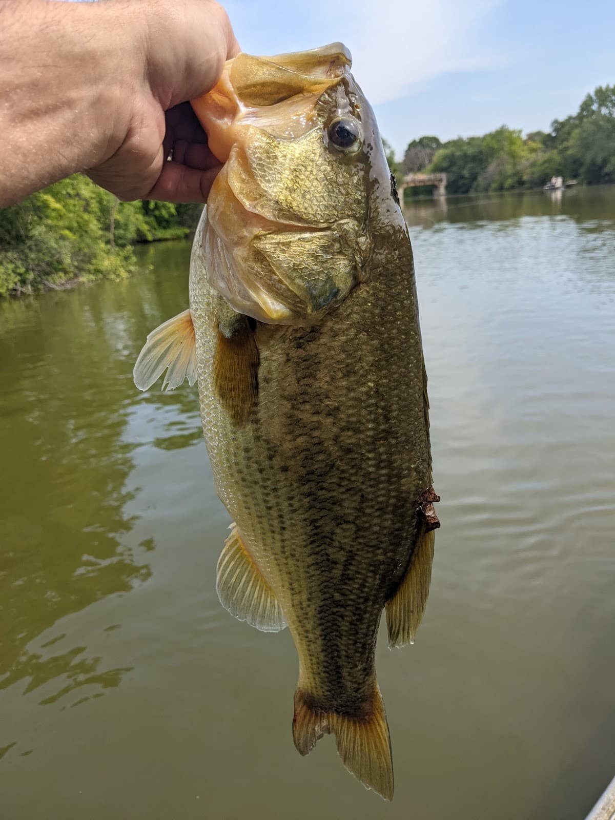 Marquette Lagoon