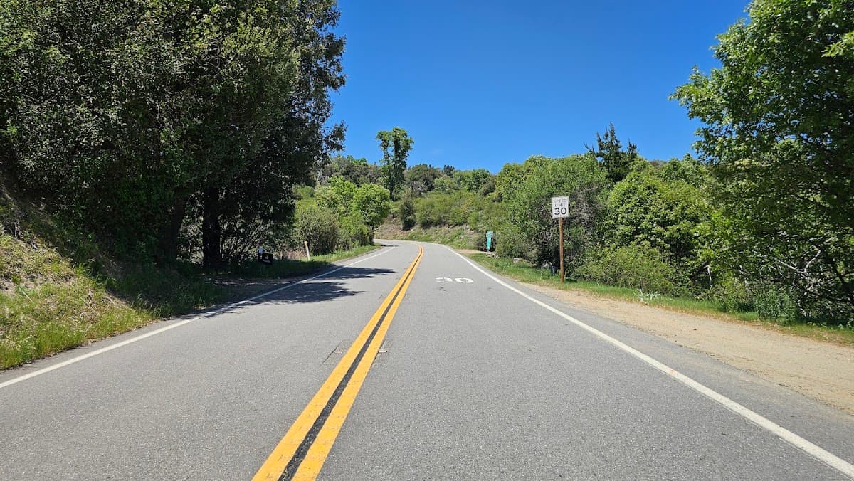Wander Palomar Mountain