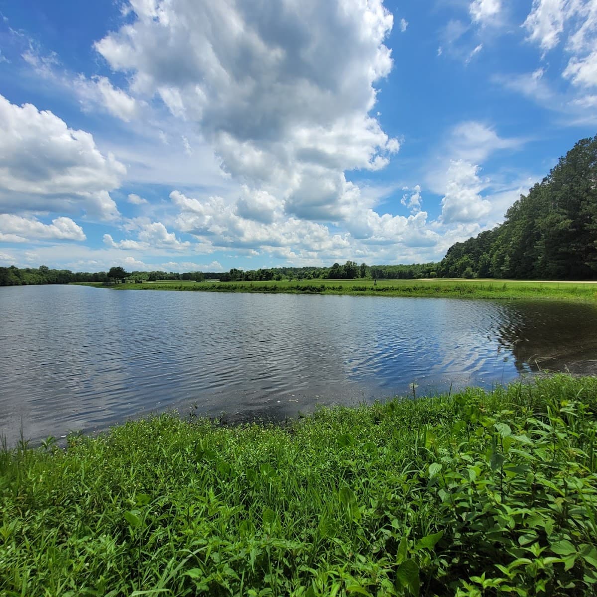 Lake Tobesofkee Duck Ponds