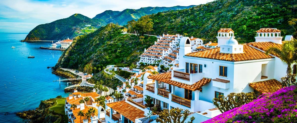 Hamilton Cove Real Estate and Vacation Rentals