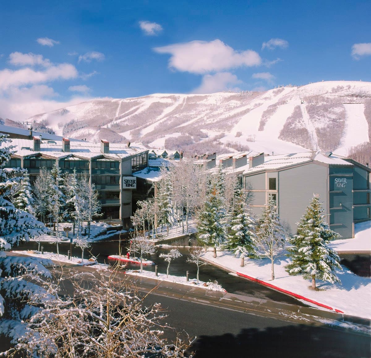 Silver King Park City