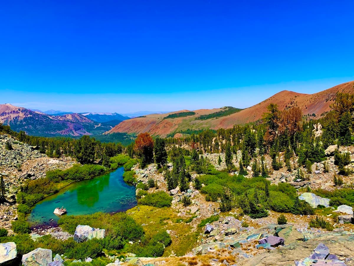 Sky Meadows
