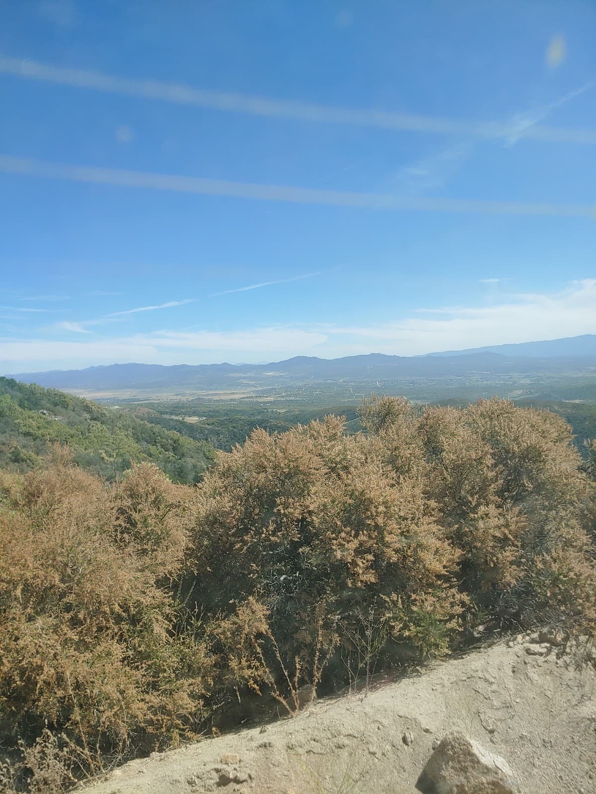 Juan Diego Flat