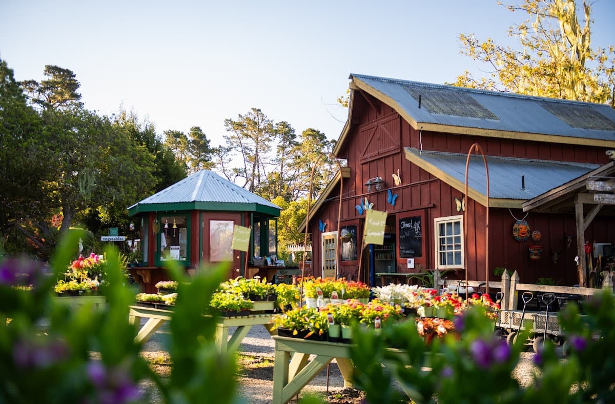 Cambria Nursery and Florist