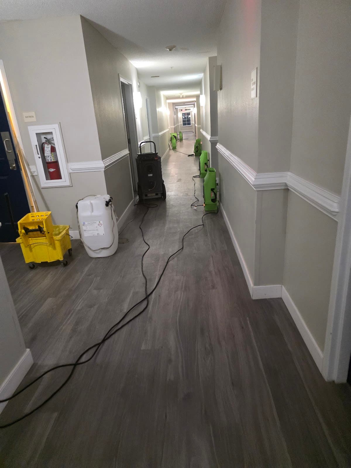 Stafford Commons Apartments