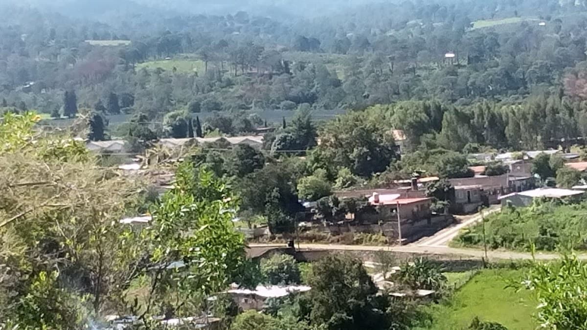 Raywood Flat