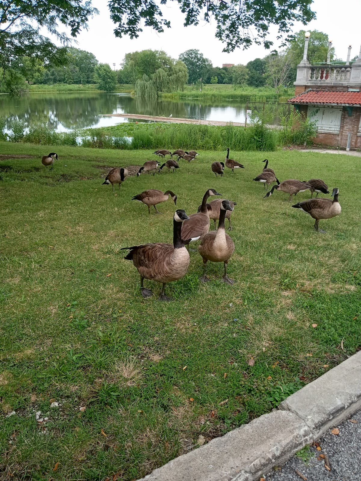 Columbus Park Lagoon