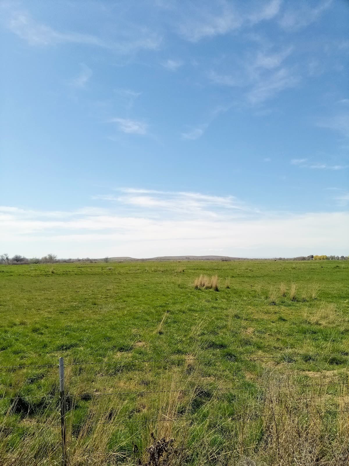 Echo Meadows